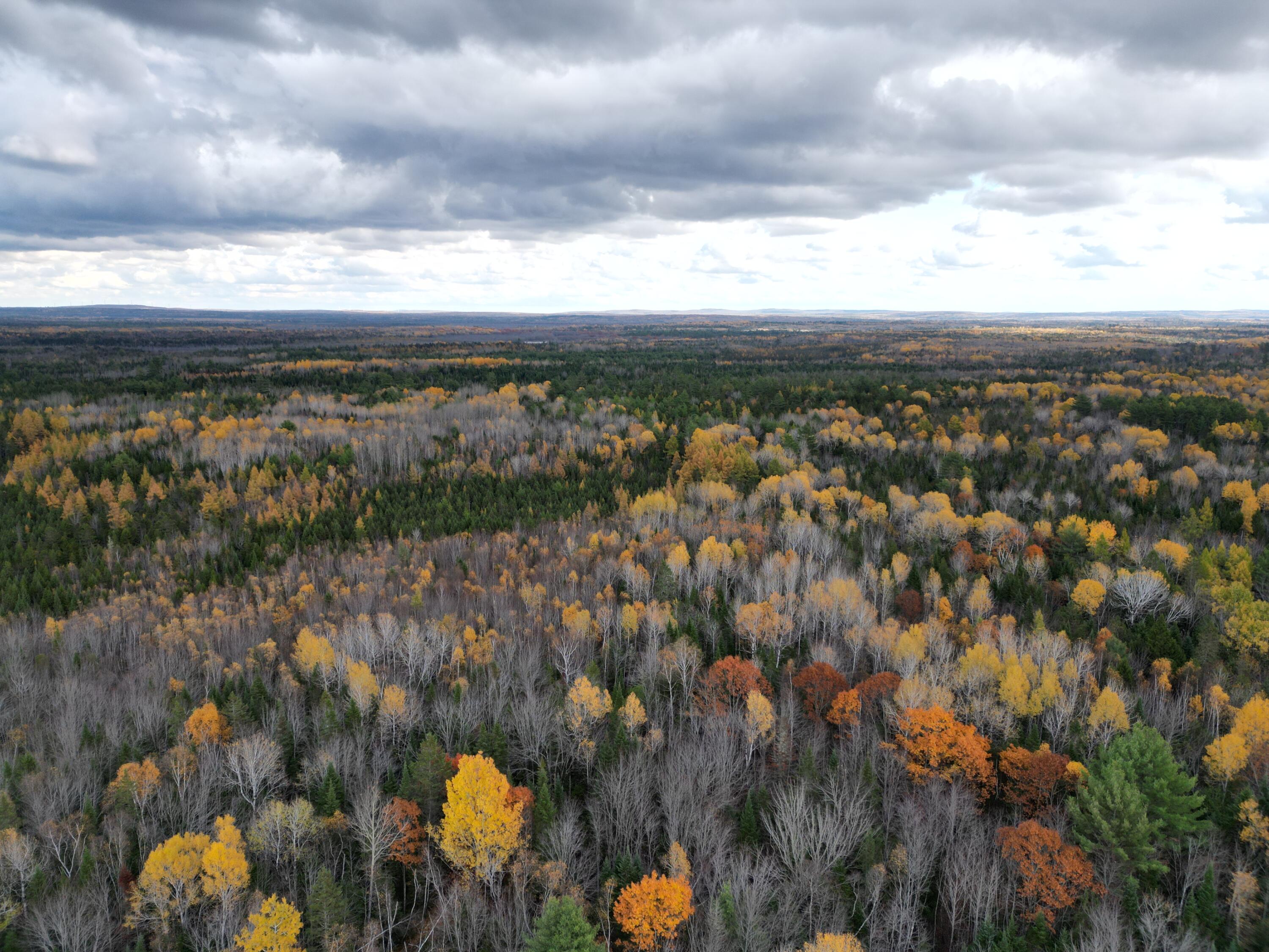 1060 Kingman Road Kingman, ME 04451 - Photo 13 of 21 DJI_0040