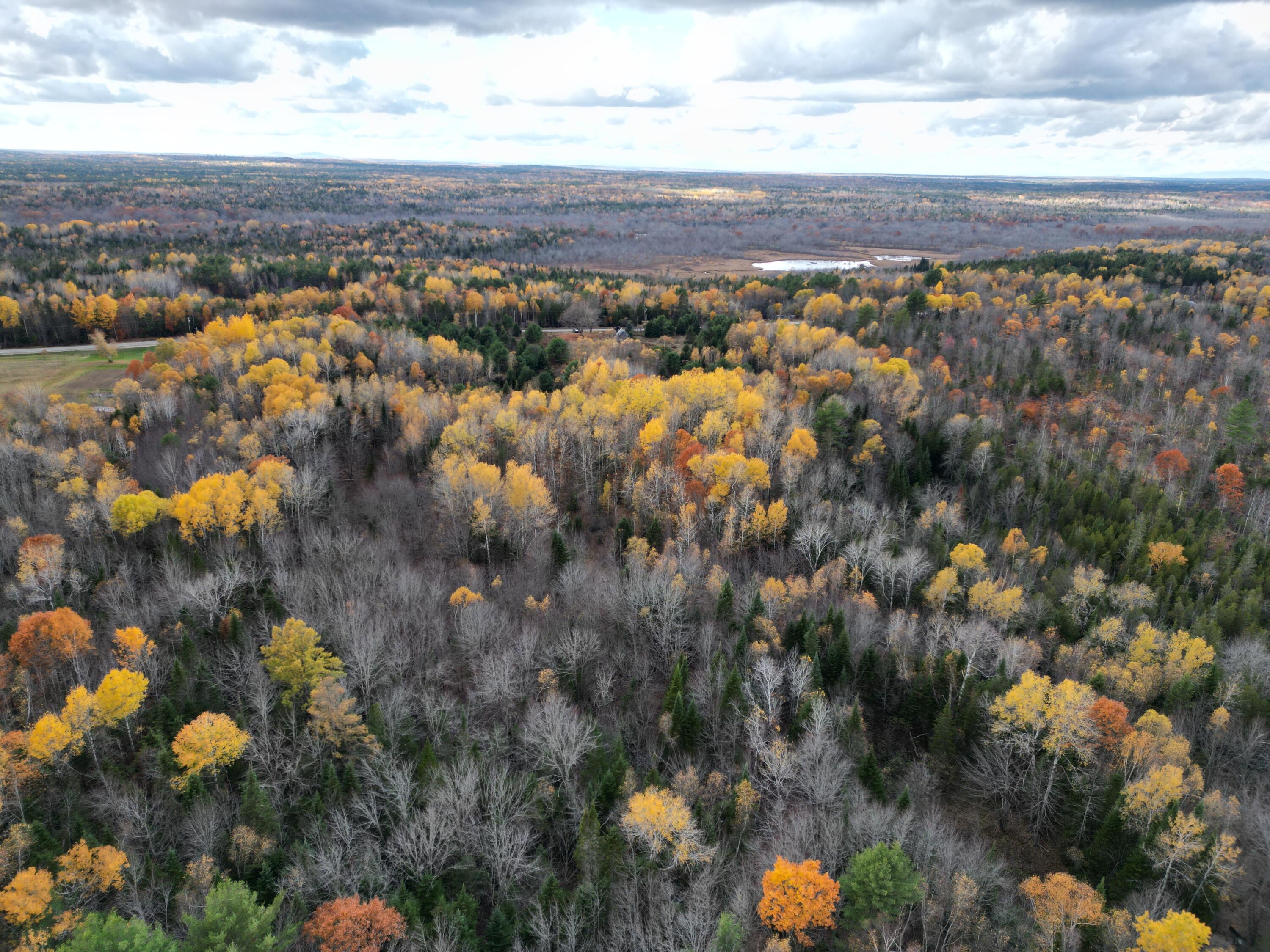 1060 Kingman Road Kingman, ME 04451 - Photo 15 of 21 DJI_0042