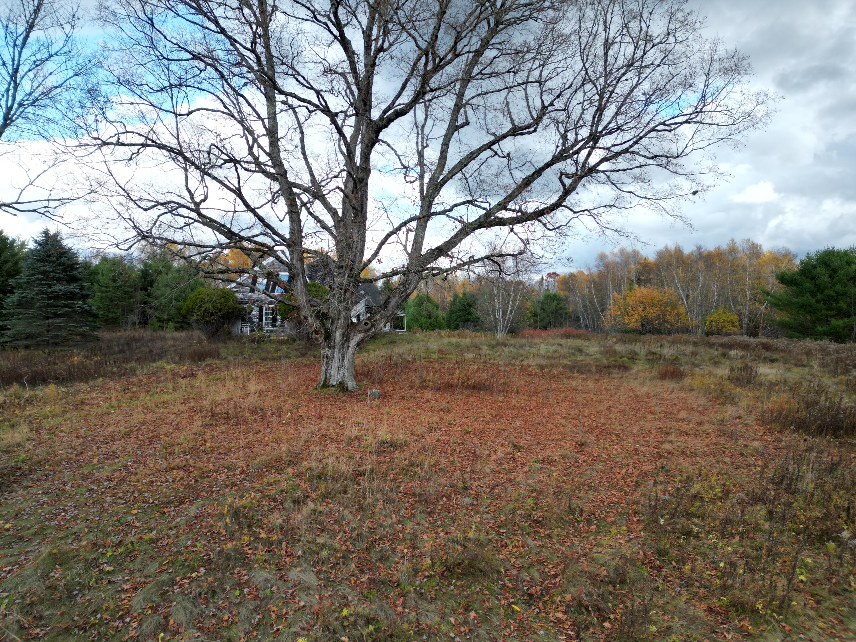 1060 Kingman Road Kingman, ME 04451 - Photo 3 of 21 DJI_0033