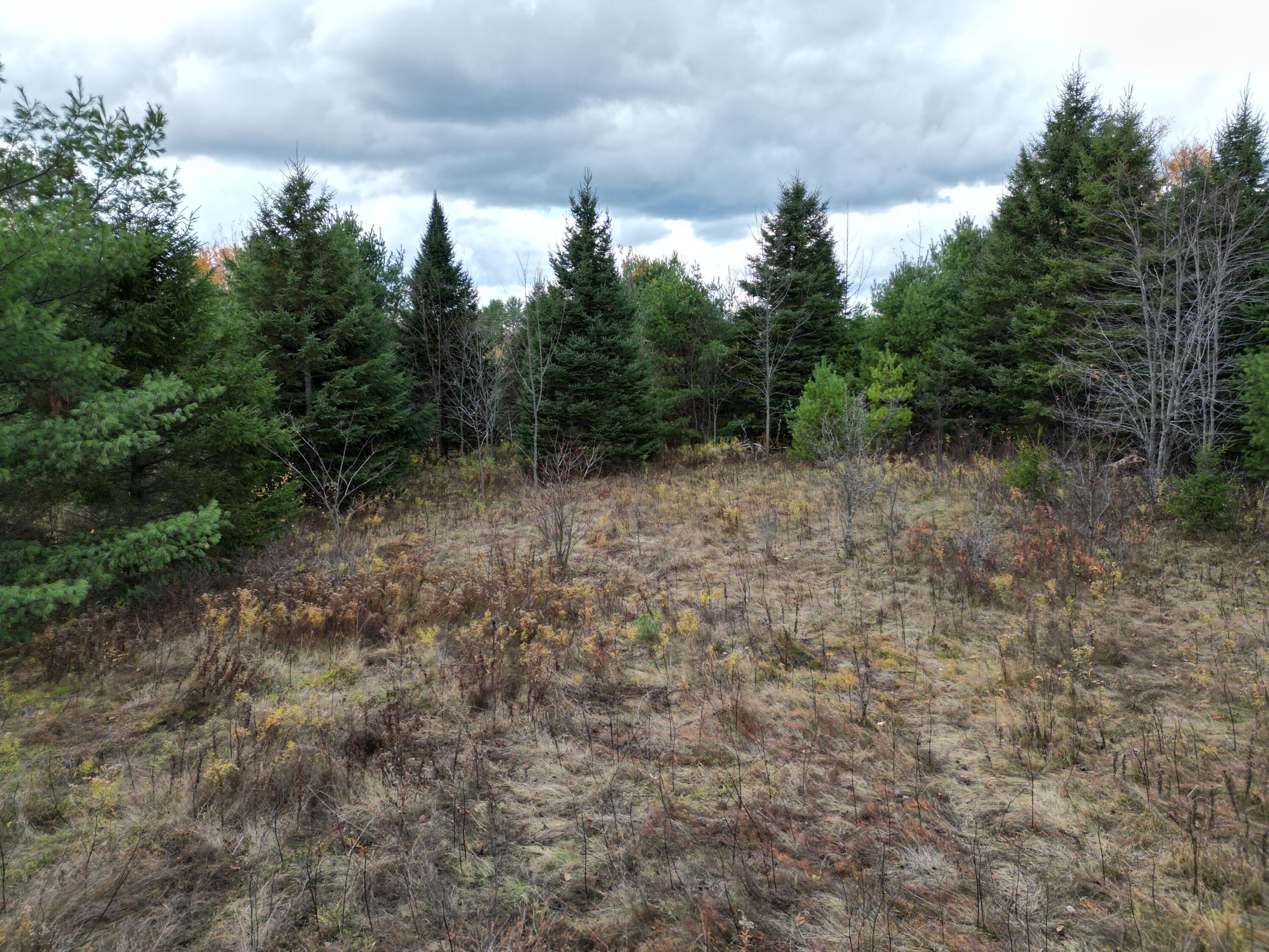 1060 Kingman Road Kingman, ME 04451 - Photo 6 of 21 DJI_0046