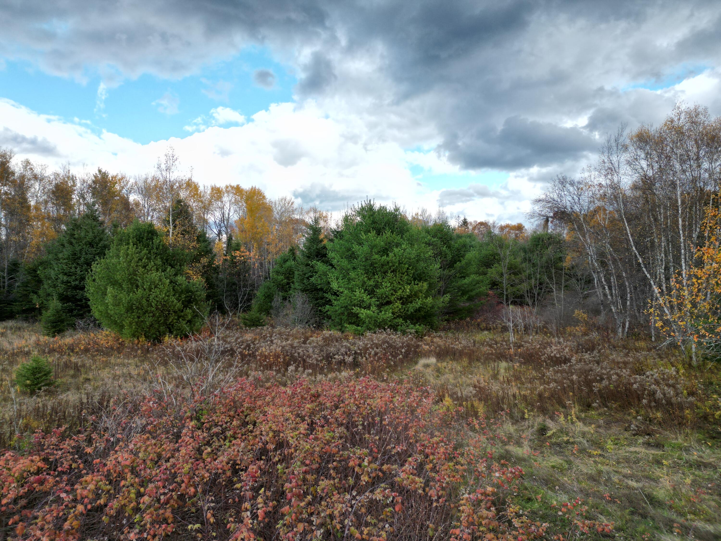 1060 Kingman Road Kingman, ME 04451 - Photo 8 of 21 DJI_0035