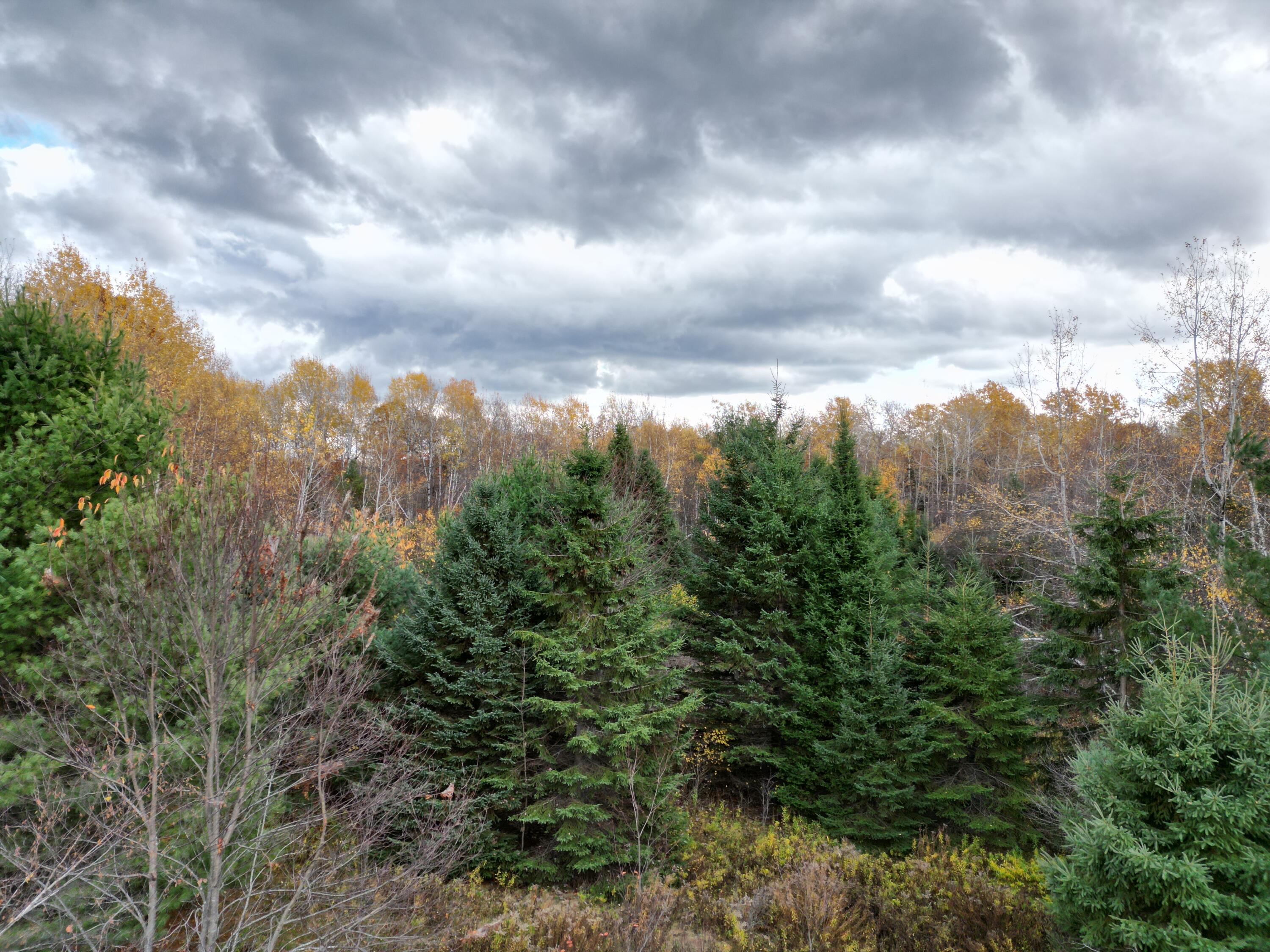 1060 Kingman Road Kingman, ME 04451 - Photo 9 of 21 DJI_0036