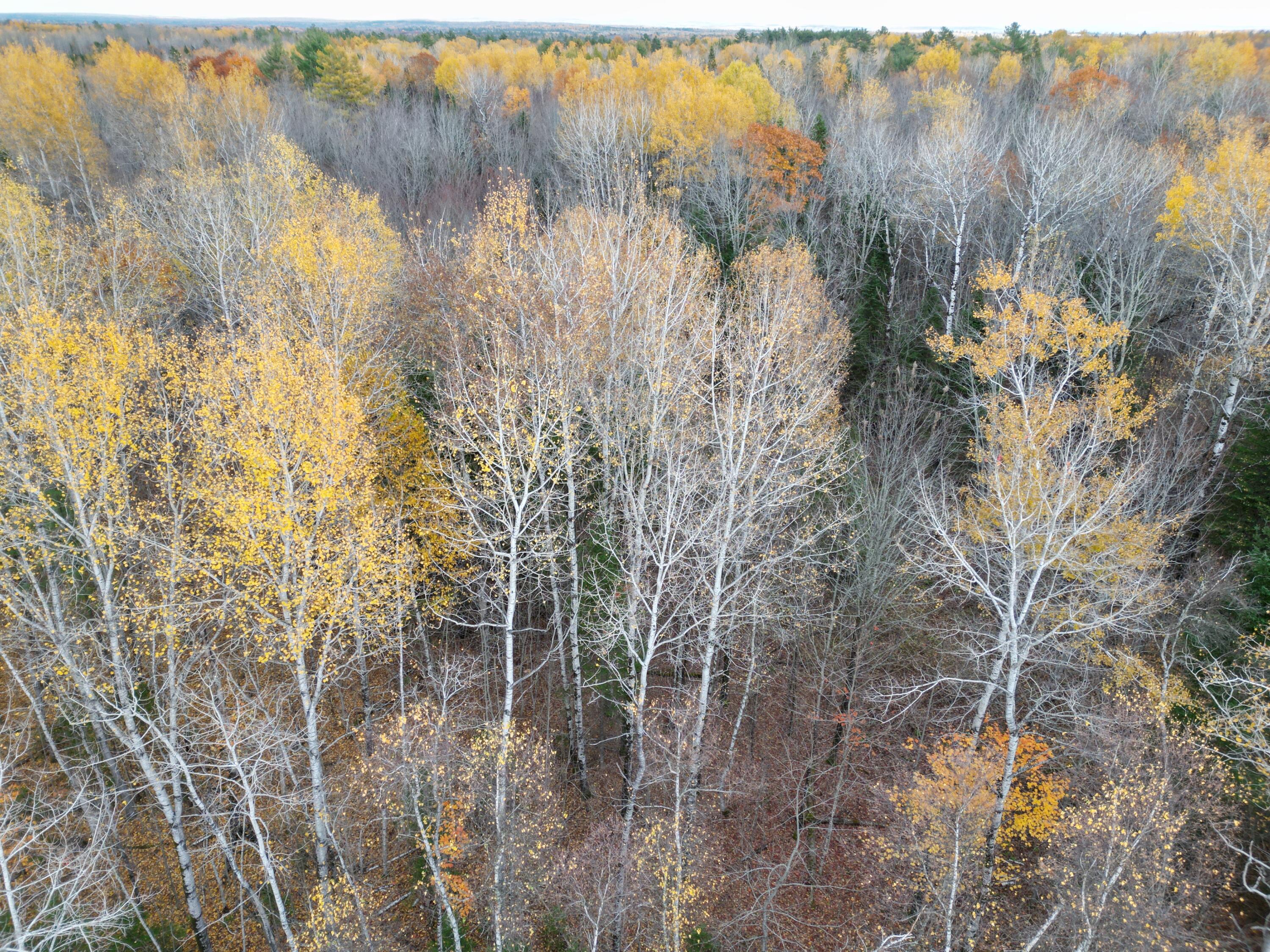 1060 Kingman Road Kingman, ME 04451 - Photo 10 of 21 DJI_0037