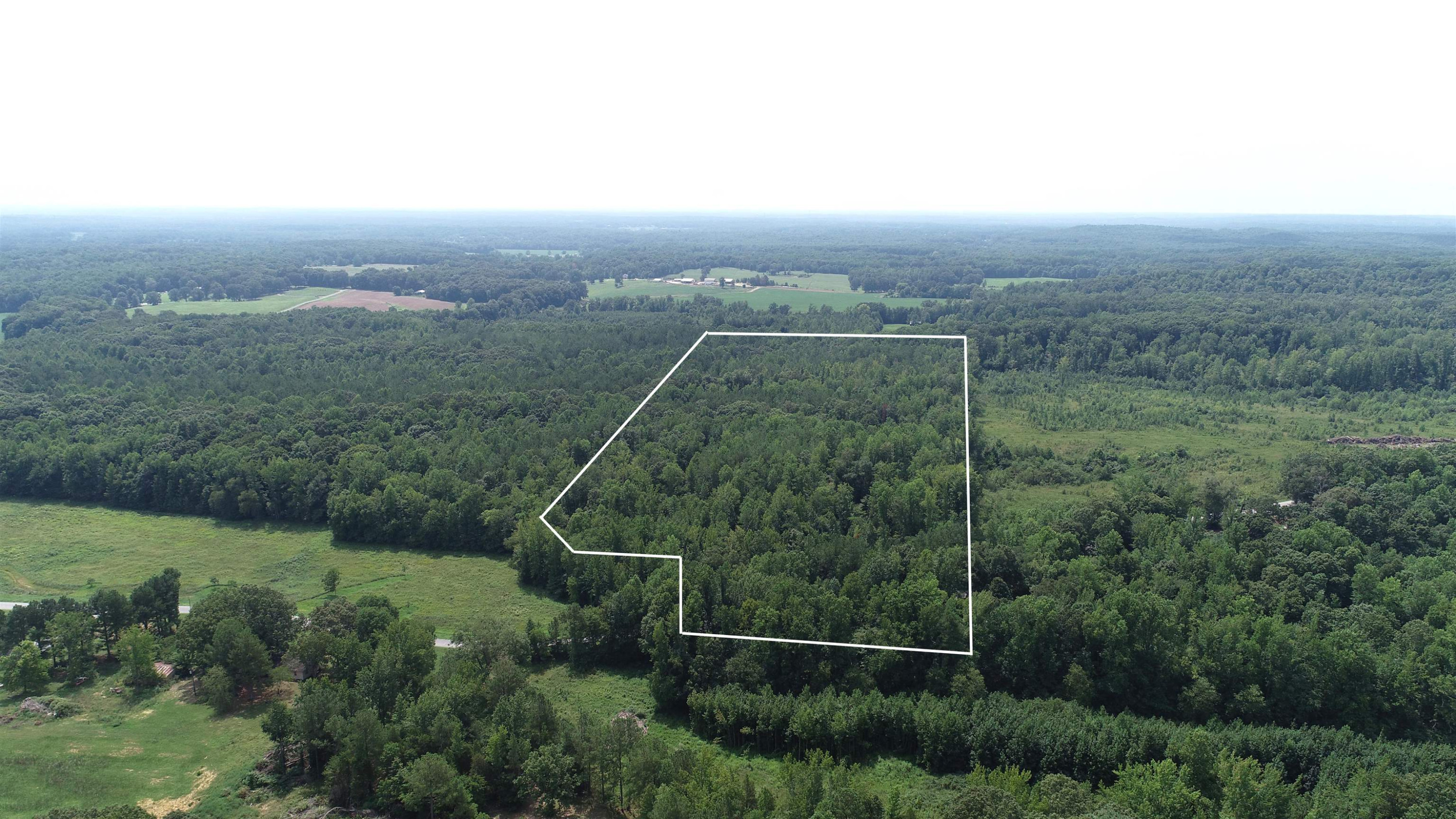 0 Jim Merrell Road Paris, TN 38242 - Photo 1 of 25