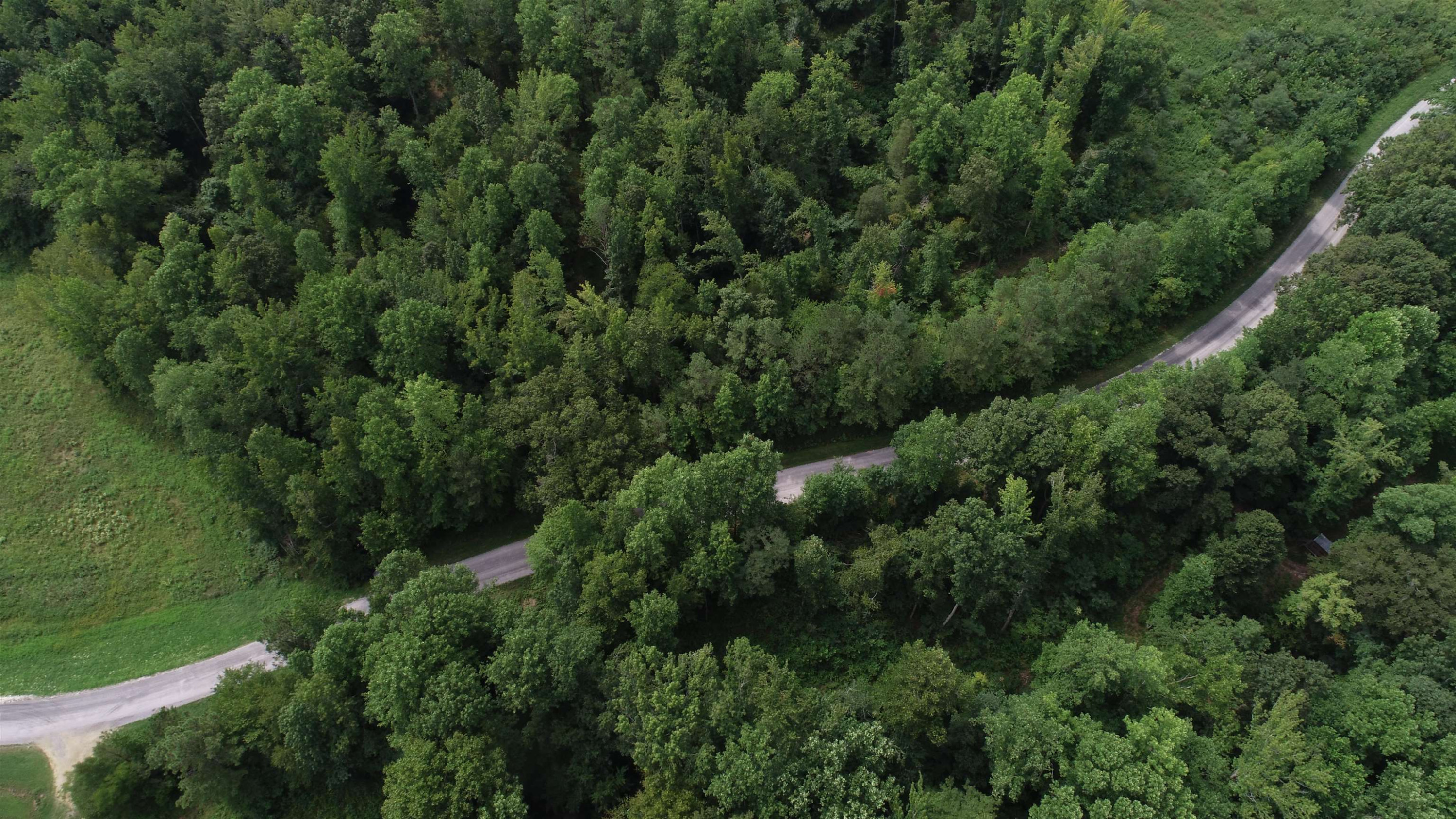 0 Jim Merrell Road Paris, TN 38242 - Photo 11 of 25 an aerial view of residential house with outdoor space and trees all around