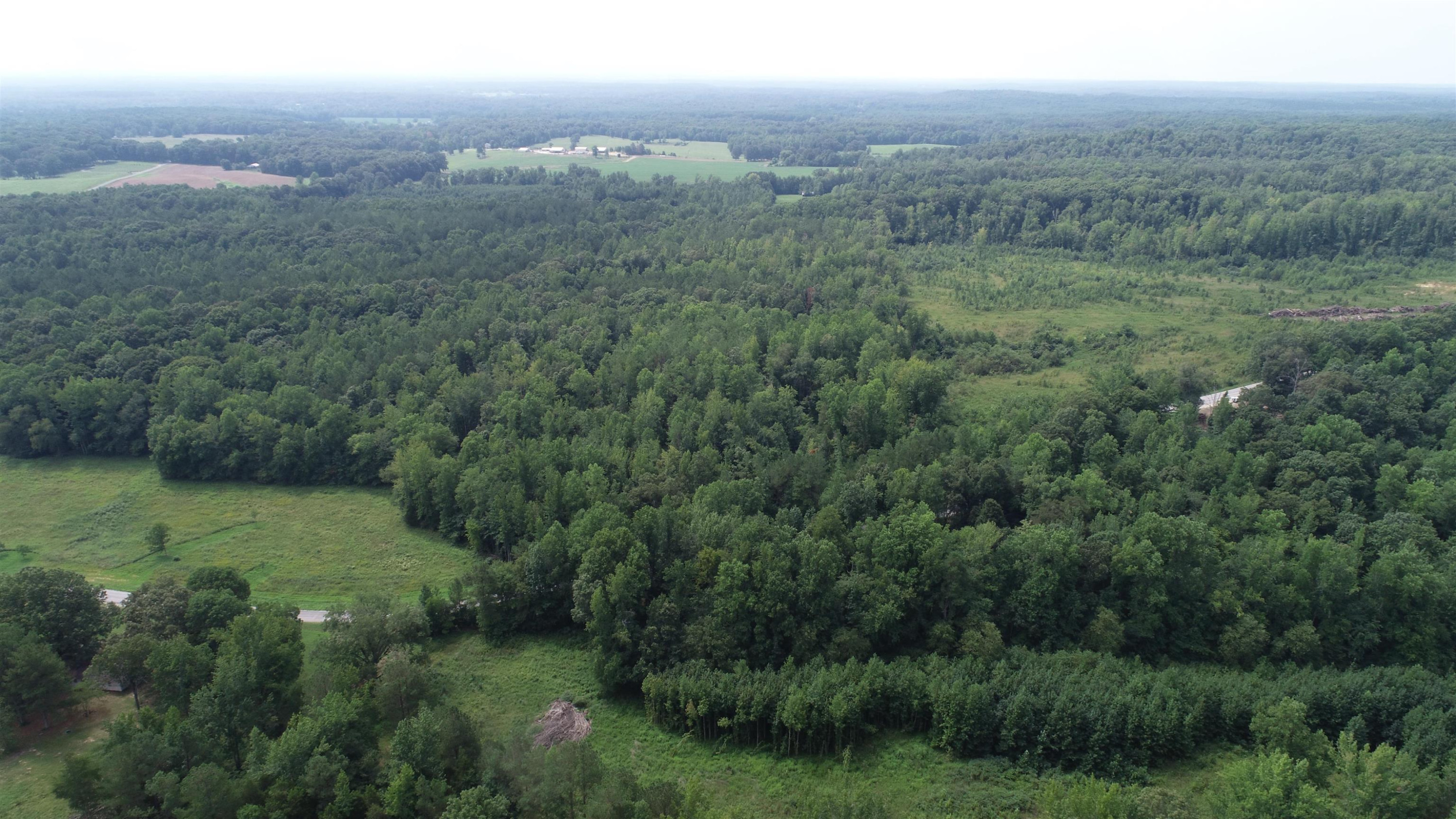 0 Jim Merrell Road Paris, TN 38242 - Photo 21 of 25 a view of a big yard with lots of bushes