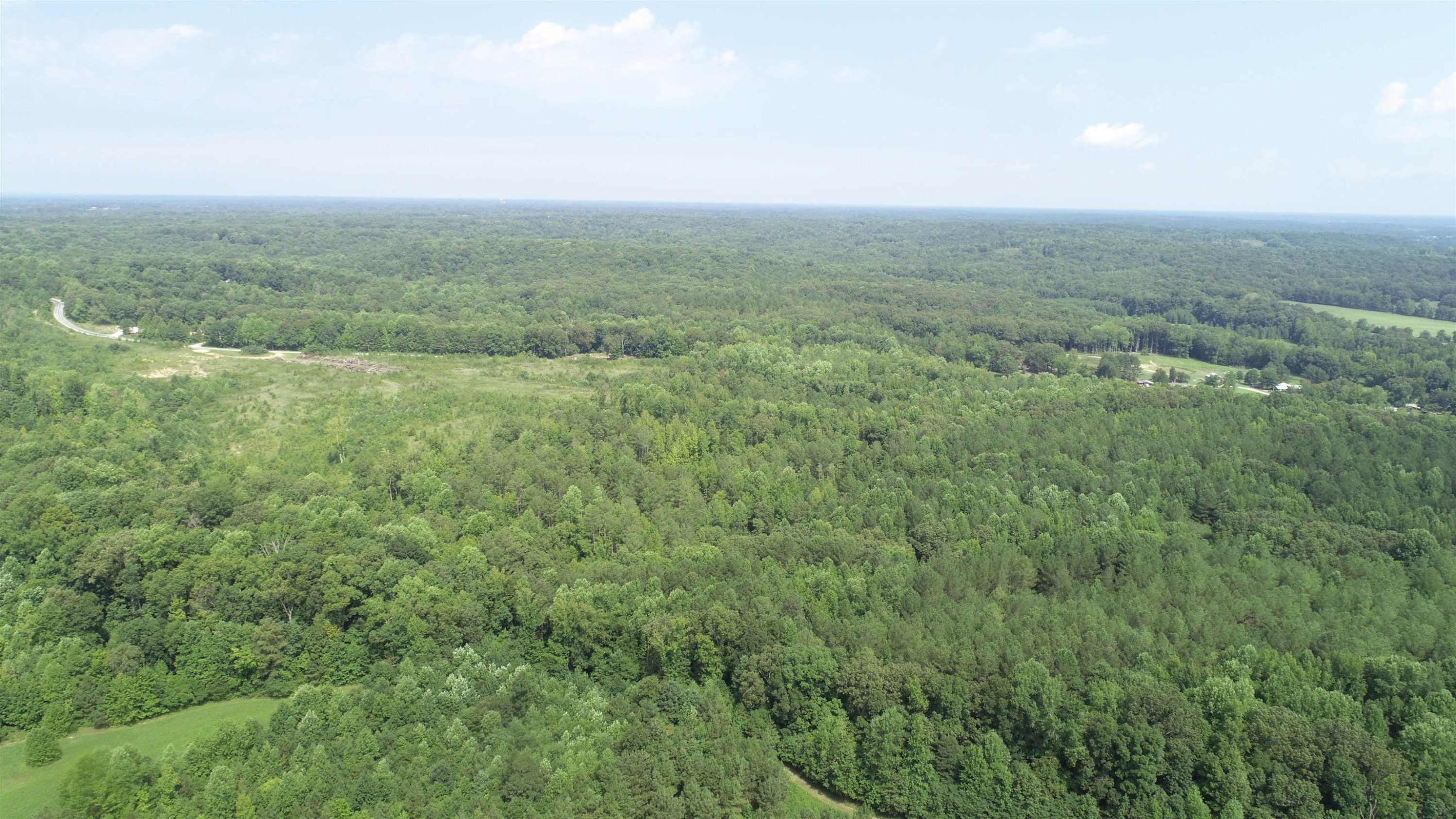 0 Jim Merrell Road Paris, TN 38242 - Photo 22 of 25 a view of a big yard with an aerial view of residential houses with outdoor space and trees