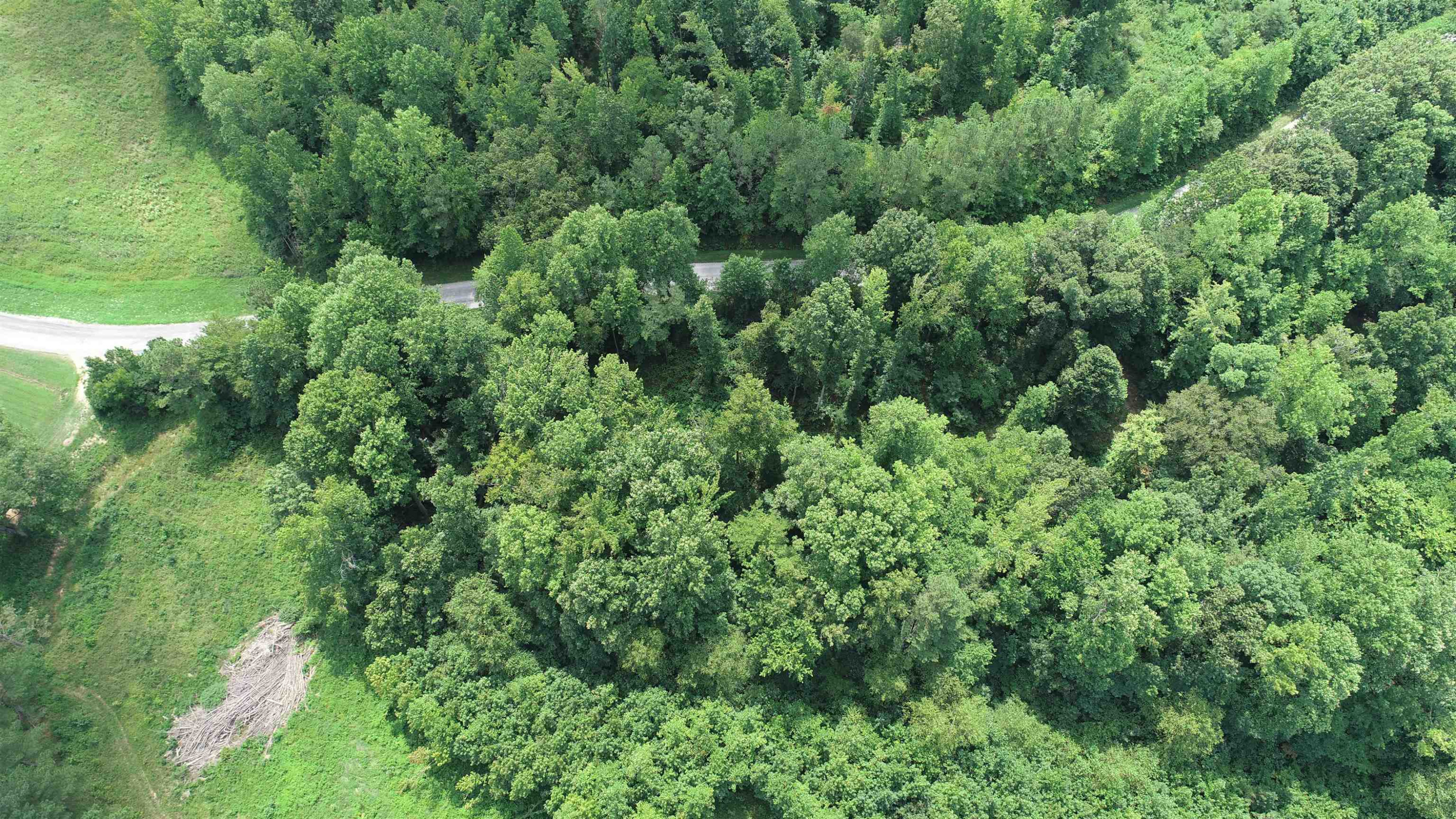 0 Jim Merrell Road Paris, TN 38242 - Photo 24 of 25 an aerial view of a forest with houses