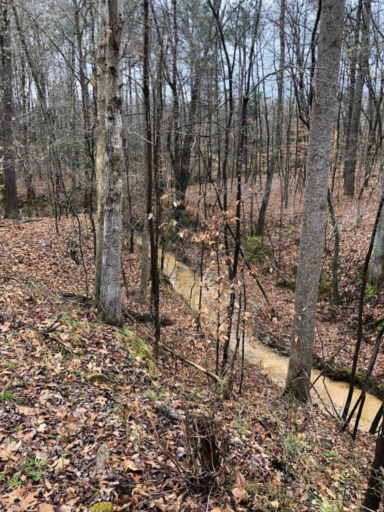 0 Jim Merrell Road Paris, TN 38242 - Photo 5 of 25 a view of outdoor space