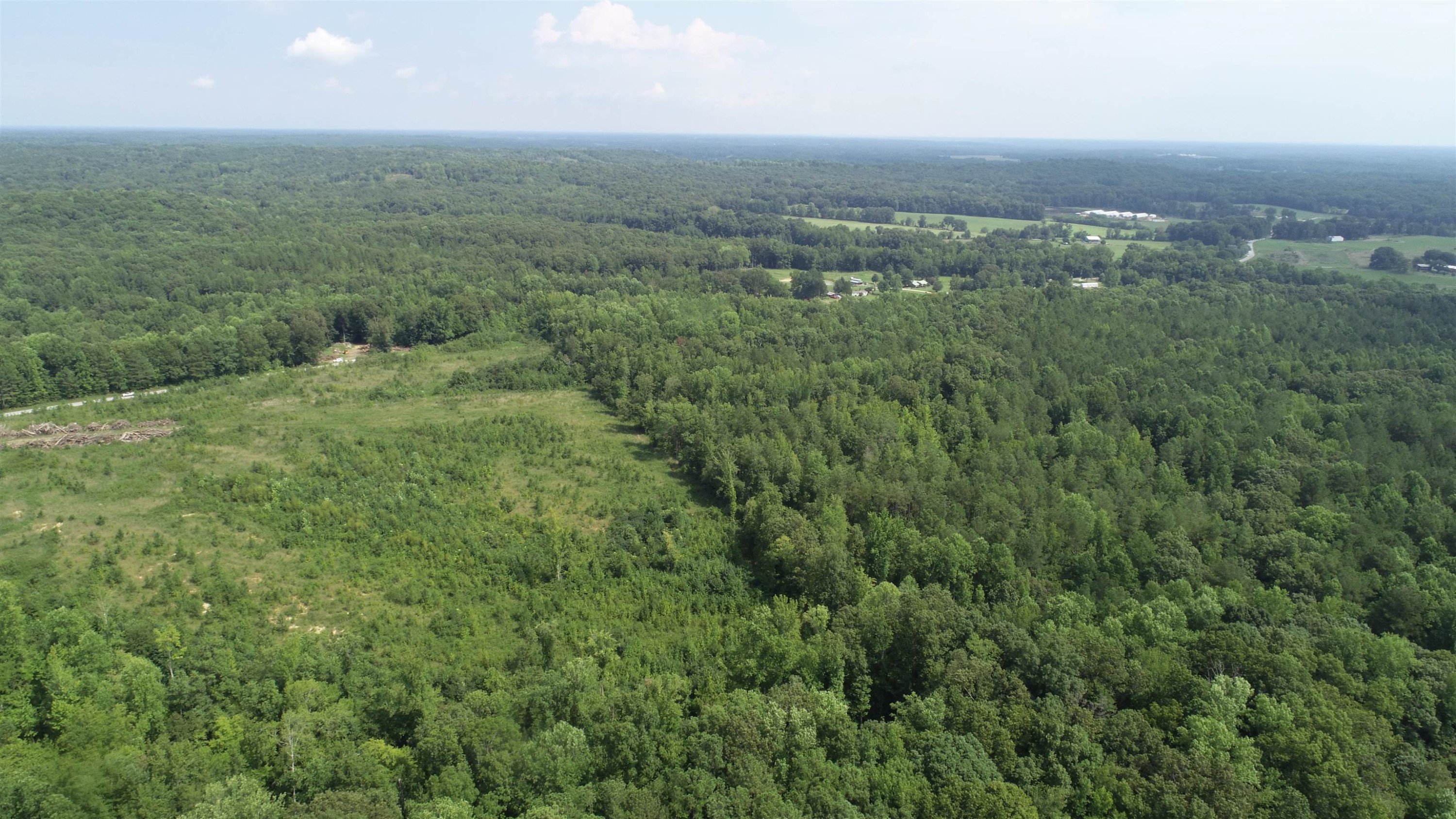 0 Jim Merrell Road Paris, TN 38242 - Photo 6 of 25 an aerial view of houses covered in trees