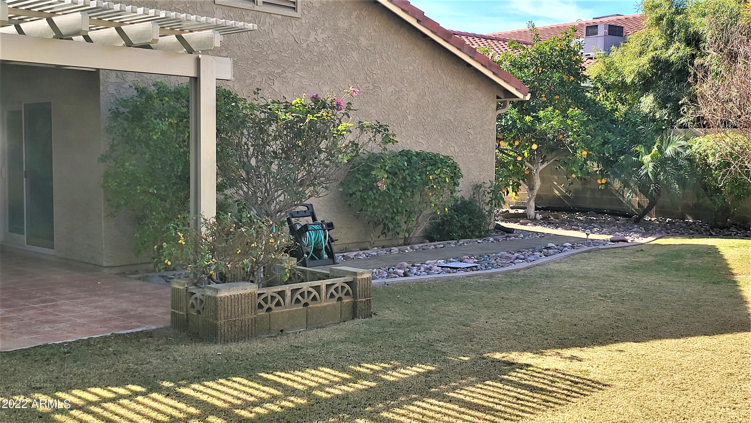 1940 East Hearn Road Phoenix, AZ 85022 - Photo 6 of 51 Beautiful Flowered yard & walkway