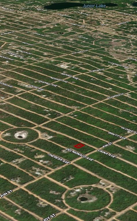 4 Usina Avenue Interlachen, FL 32148 - Photo 4 of 4