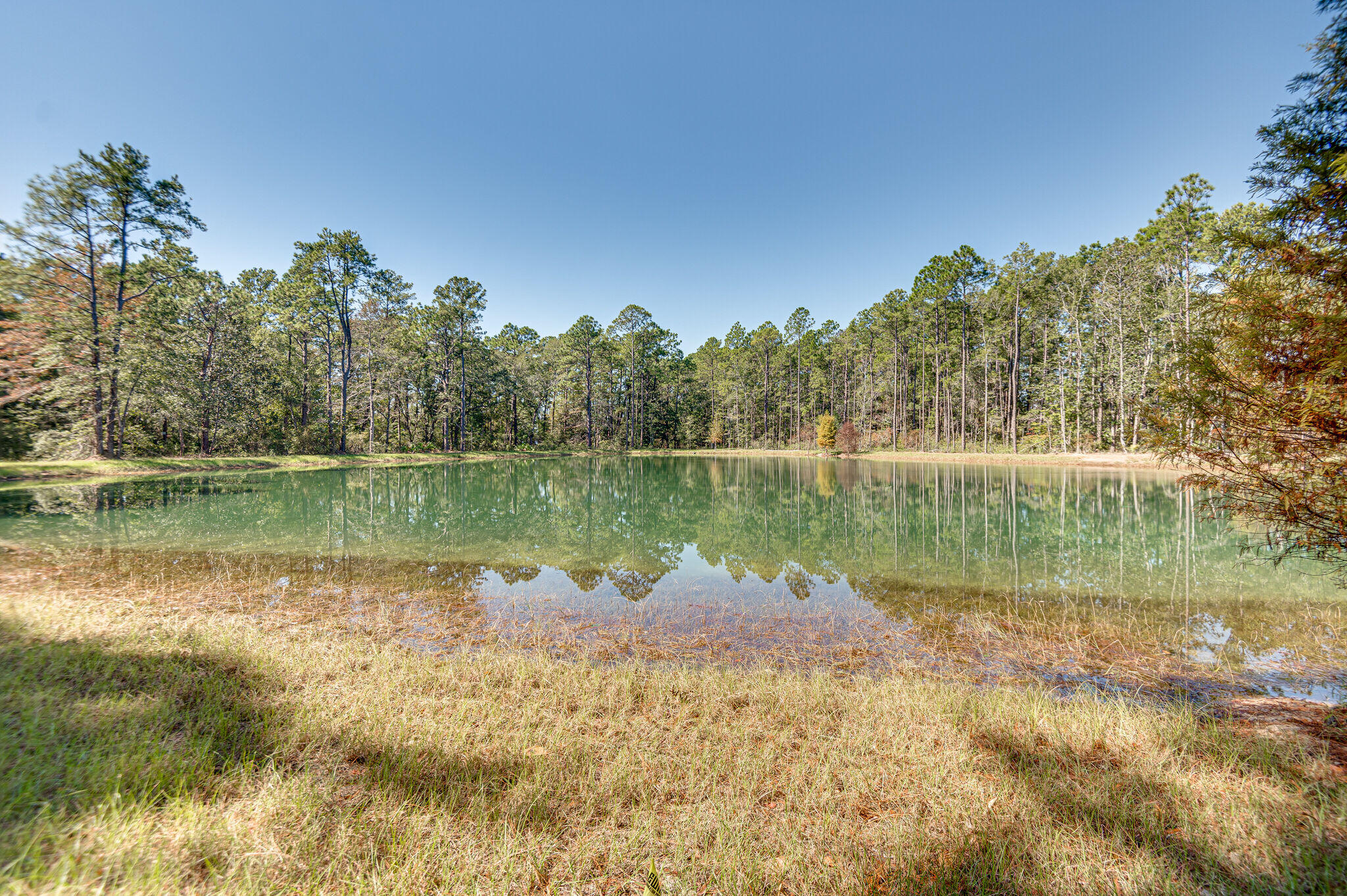 585 Earl Godwin Road Freeport, FL 32439 - Photo 46 of 46 a view of lake with green space