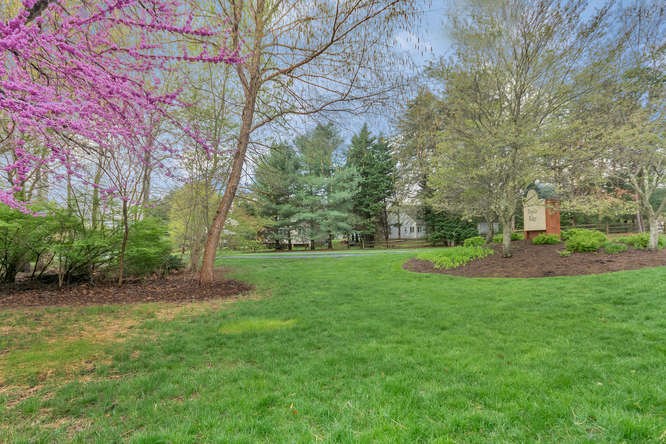 3201 Poplar Ridge Road Charlottesville, VA 22911 - Photo 35 of 48 Gallery Image 35