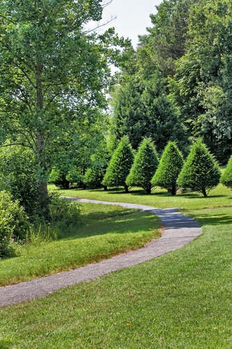 3201 Poplar Ridge Road Charlottesville, VA 22911 - Photo 47 of 48 Gallery Image 47