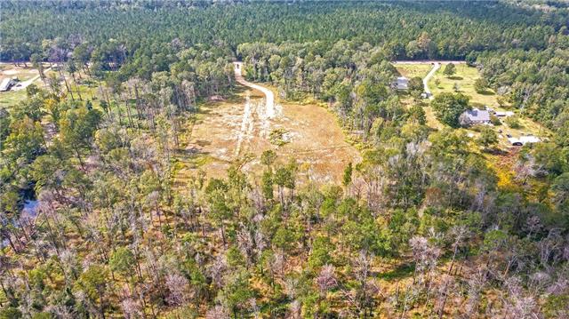 51034 George Road Tickfaw, LA 70466 - Photo 9 of 12