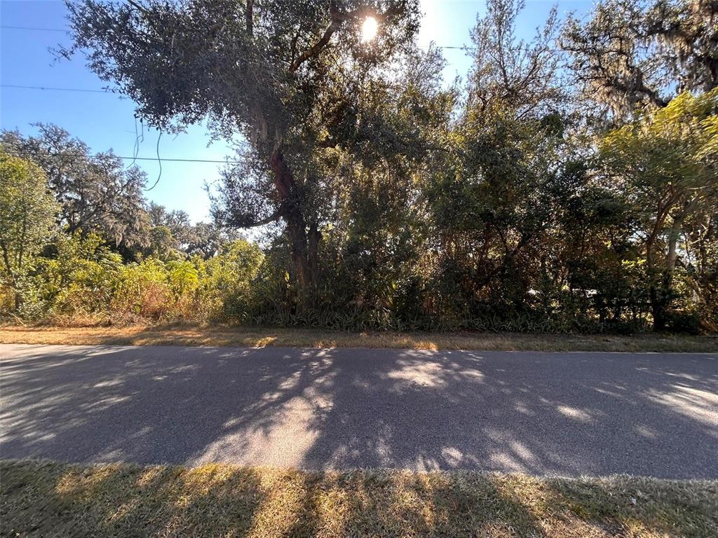 11119 Bessie Dix Road Seffner, FL 33584 - Photo 12 of 12