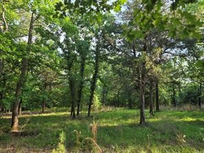 0 Timber Ridge Larue, TX 75770 - Photo 10 of 25