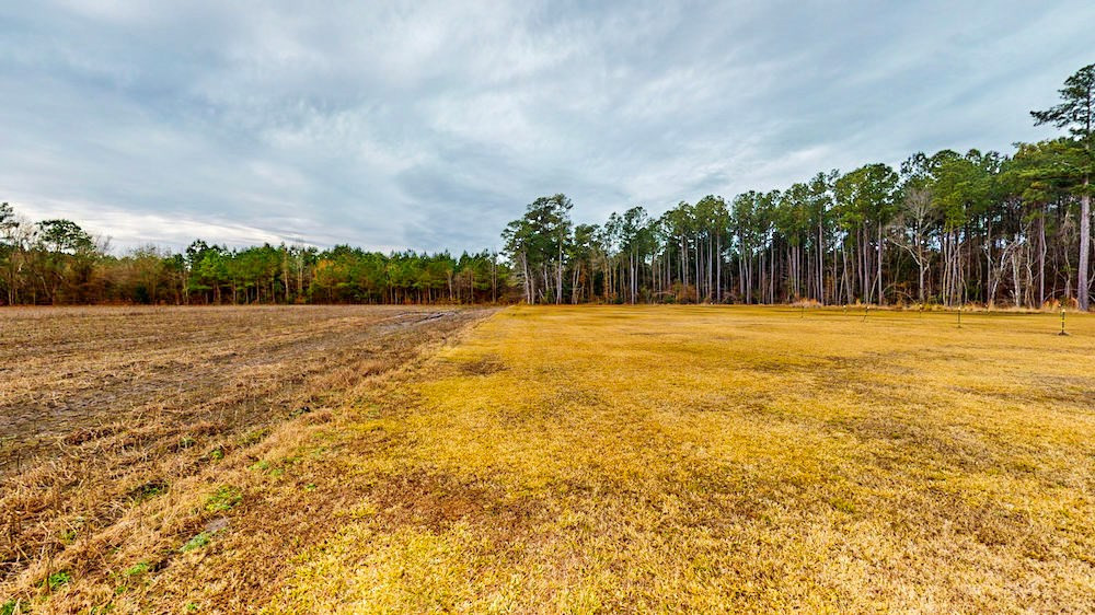1560 Beasley Road Benson, NC 27504 - Photo 39 of 39 Gallery Image 39