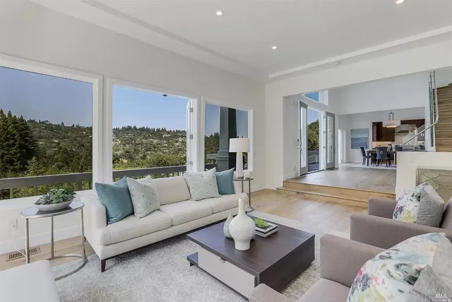 a living room with furniture potted plant and a large window