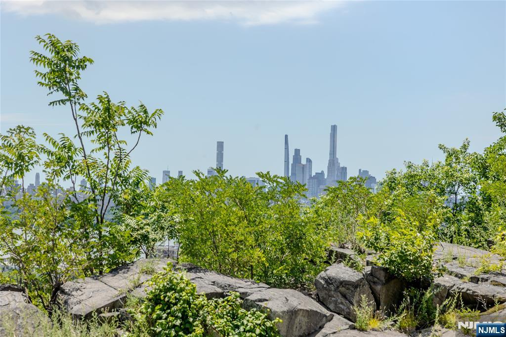 250 Gorge Road, Unit 21E Cliffside Park, NJ 07010 - Photo 22 of 50