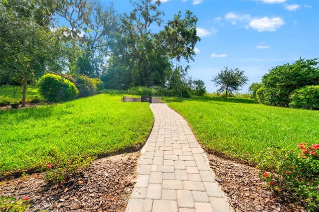 a park view with a bench
