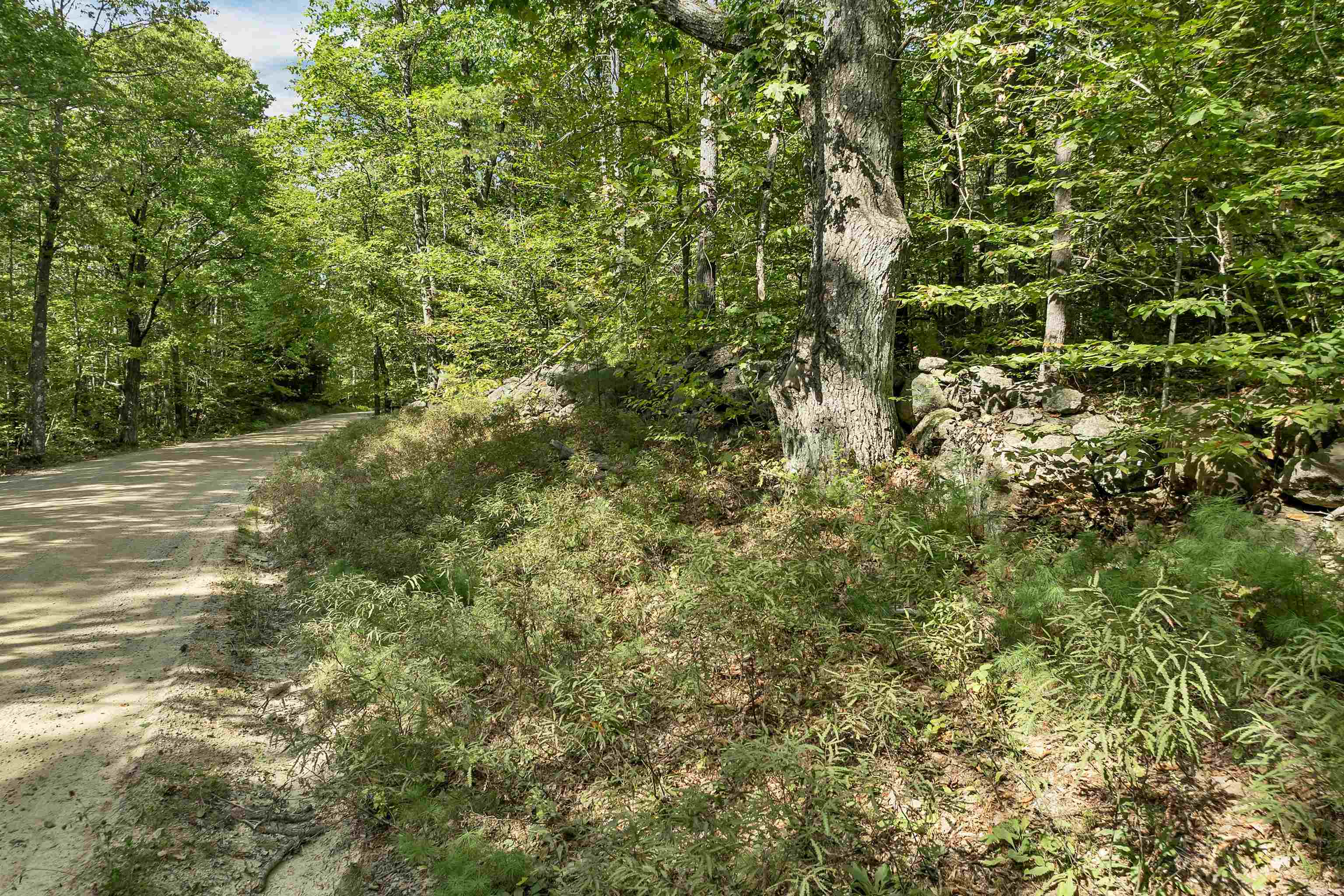 Lot 76 Vail Road Center Barnstead, NH 03225 - Photo 3 of 5
