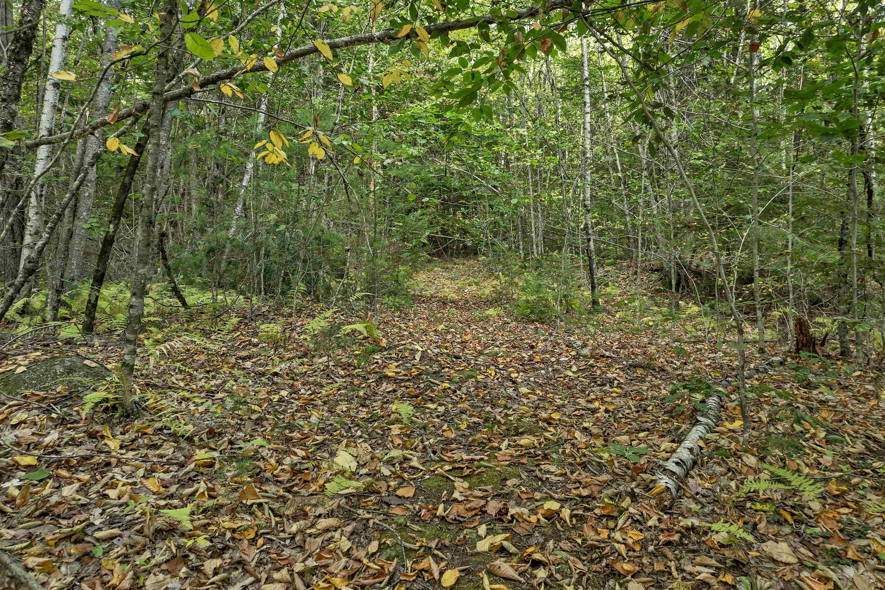 Lot 76 Vail Road Center Barnstead, NH 03225 - Photo 4 of 5