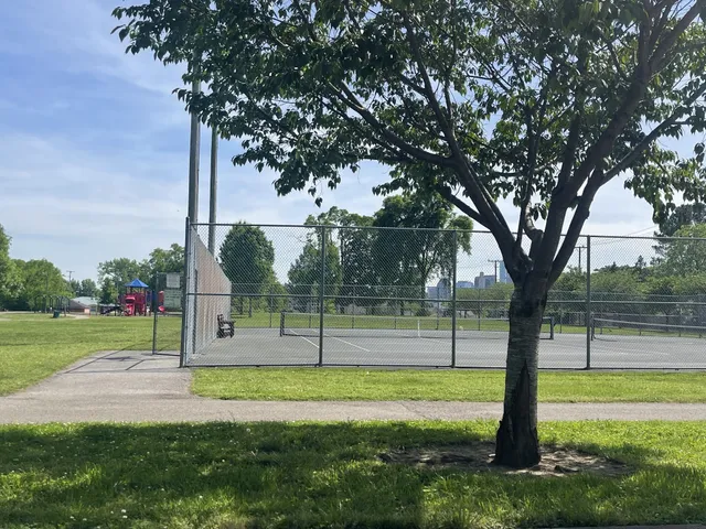 a view of a park with large trees