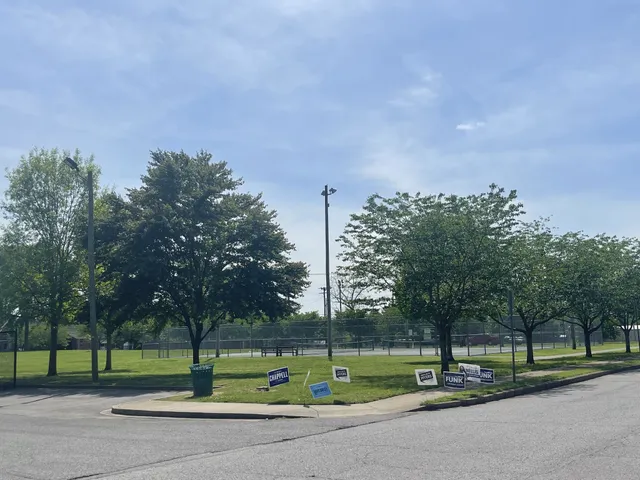 a city view with tall trees