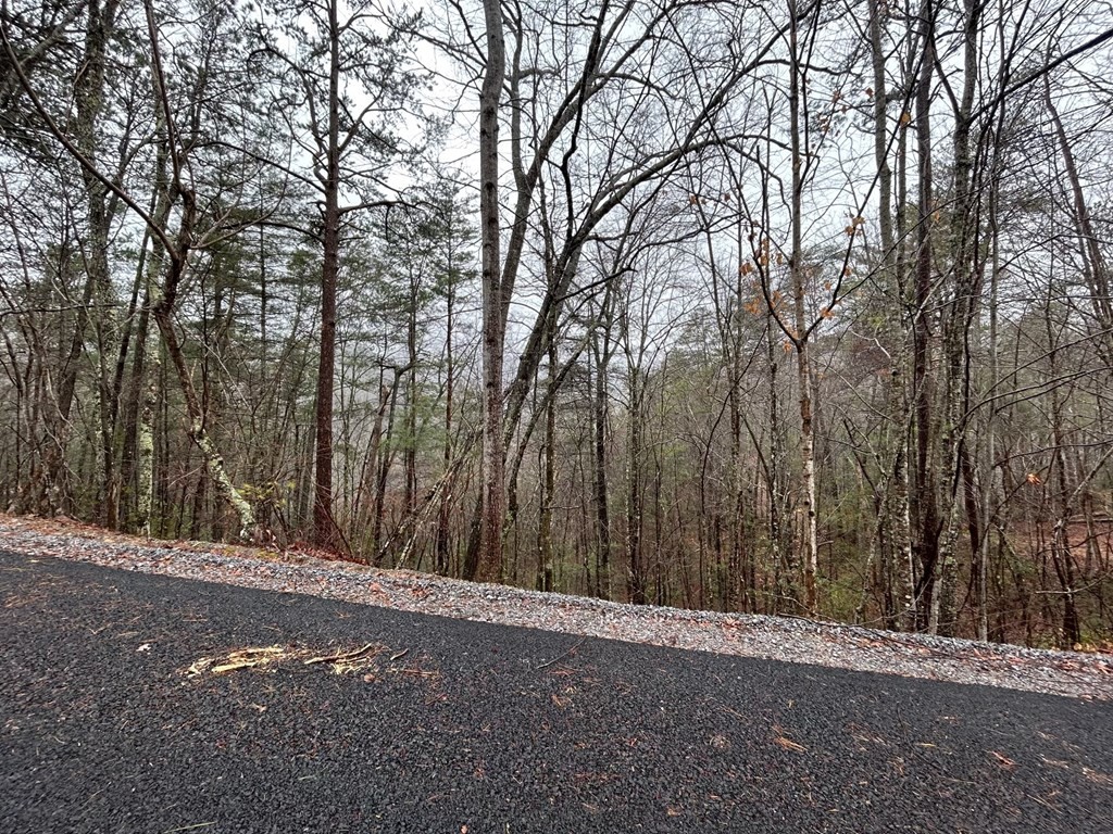 15 Clearview Road Sevierville, TN 37862 - Photo 8 of 16