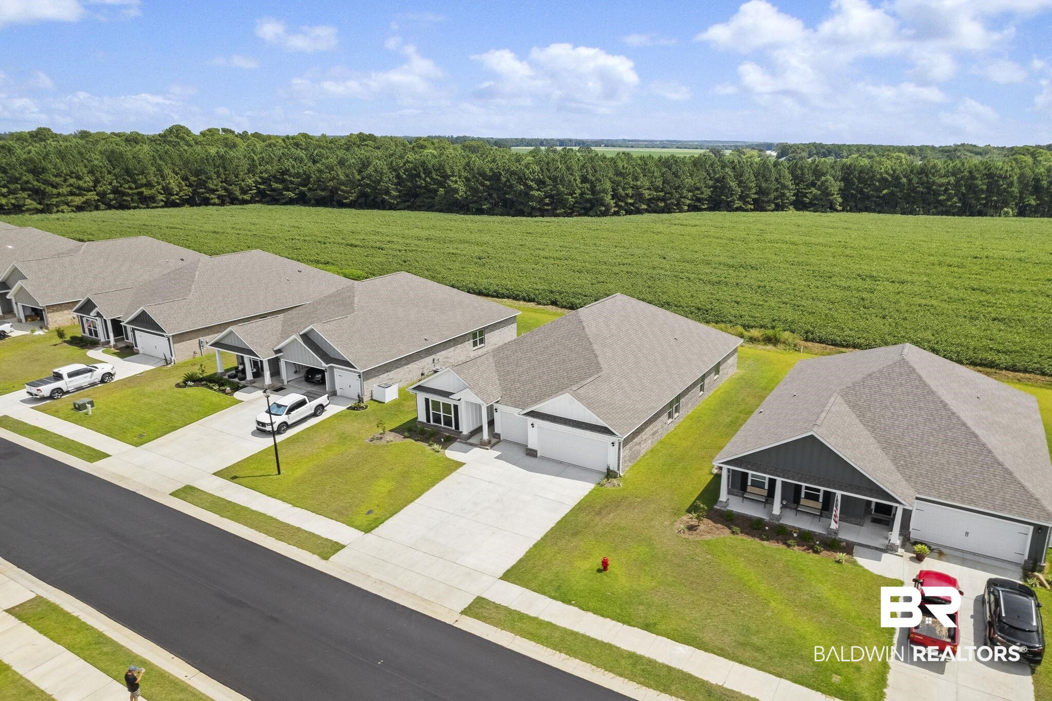 11303 Genuine Risk Circle Daphne, AL 36526 - Photo 85 of 100 Aerial view
