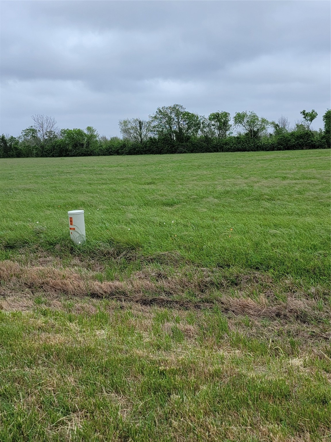 0 Brahman Trail Angleton, TX 77515 - Photo 2 of 6