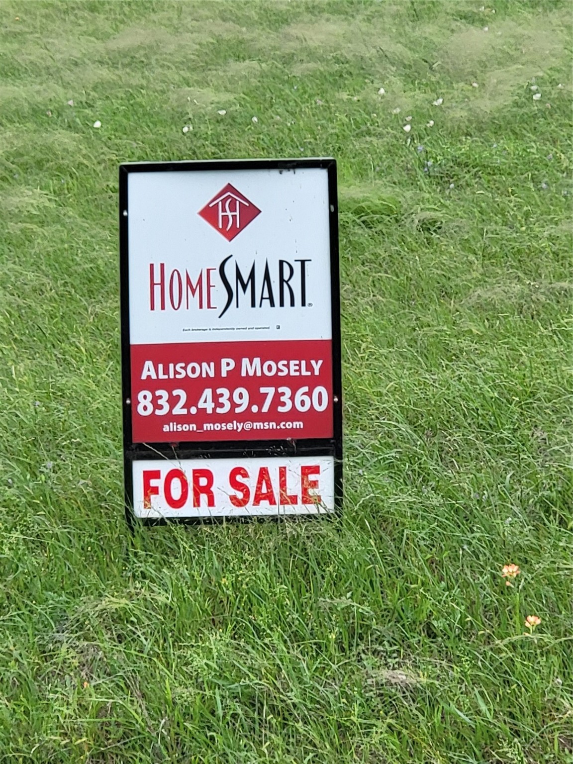 0 Brahman Trail Angleton, TX 77515 - Photo 4 of 6