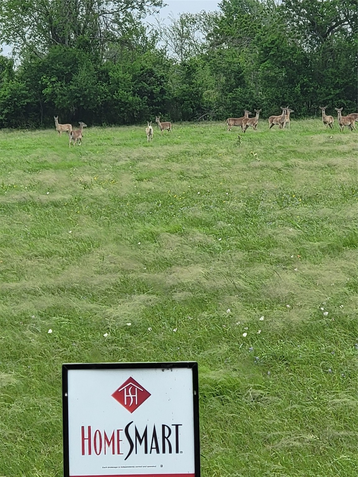 0 Brahman Trail Angleton, TX 77515 - Photo 5 of 6