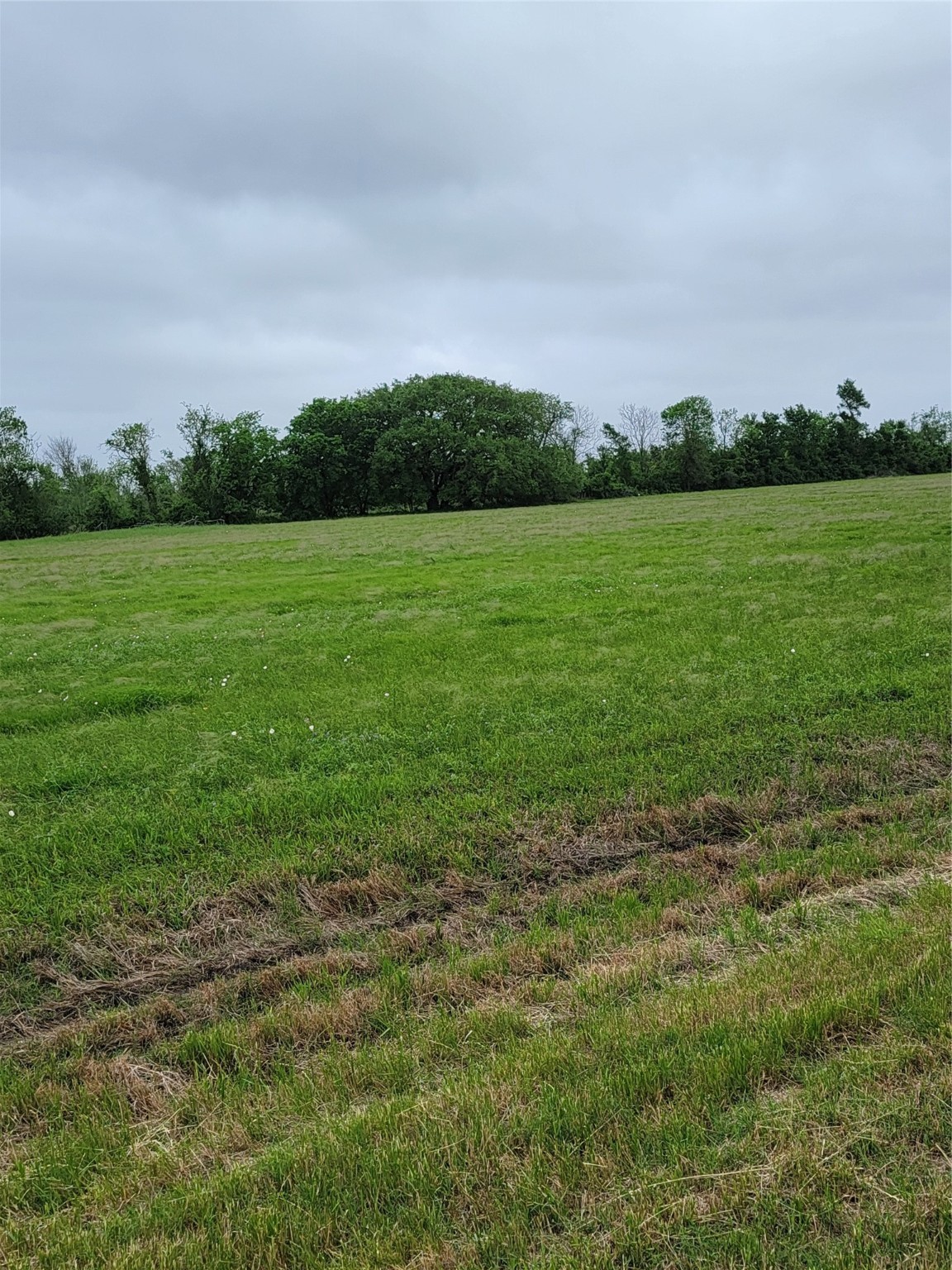 0 Brahman Trail Angleton, TX 77515 - Photo 6 of 6