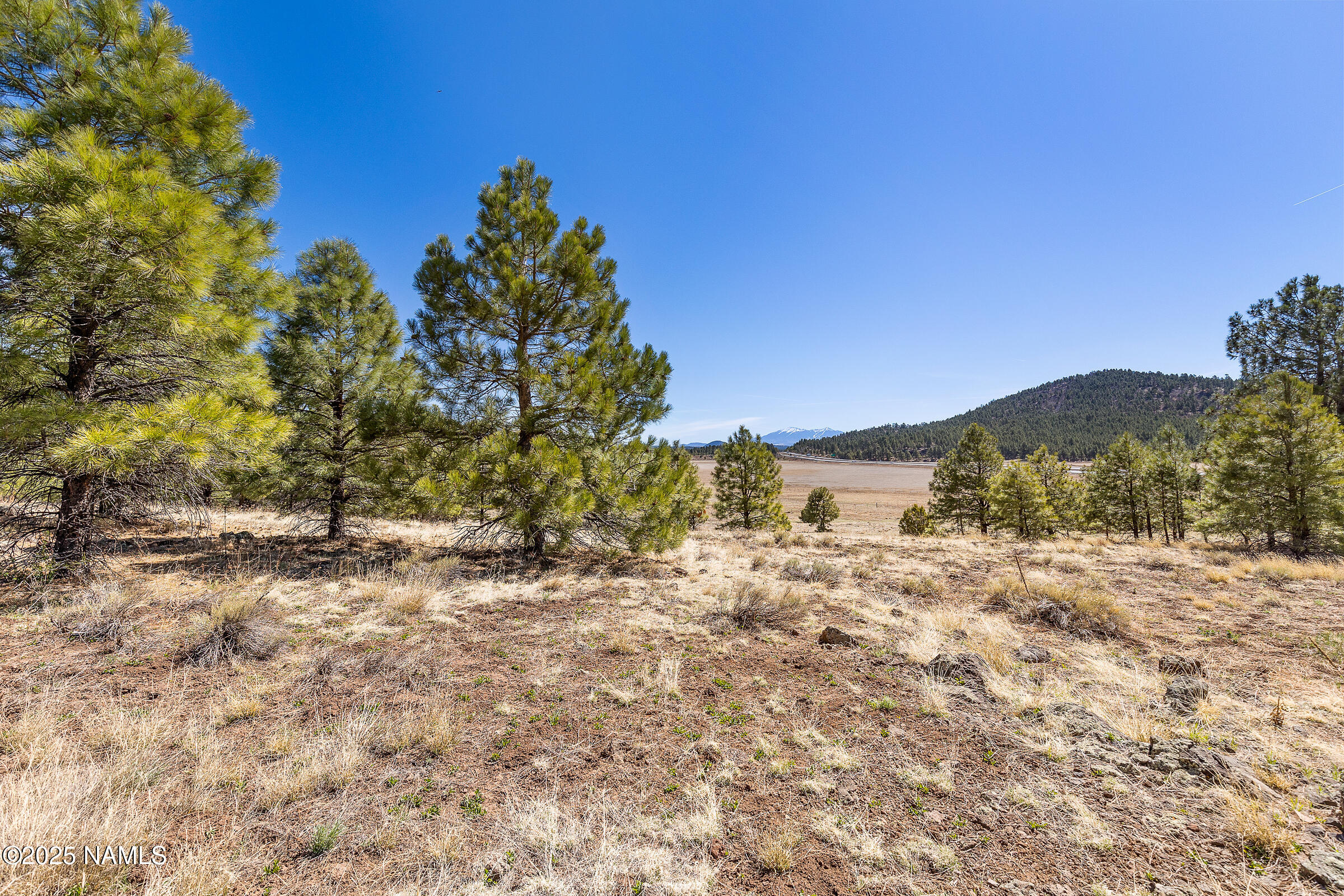 747 North Davenport Lk Road Williams, AZ 86046 - Photo 5 of 24 a view of a yard with a tree