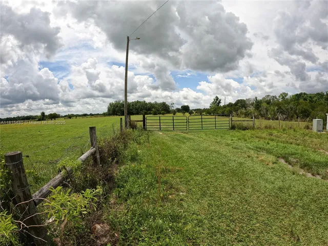 a view of a field with an ocean