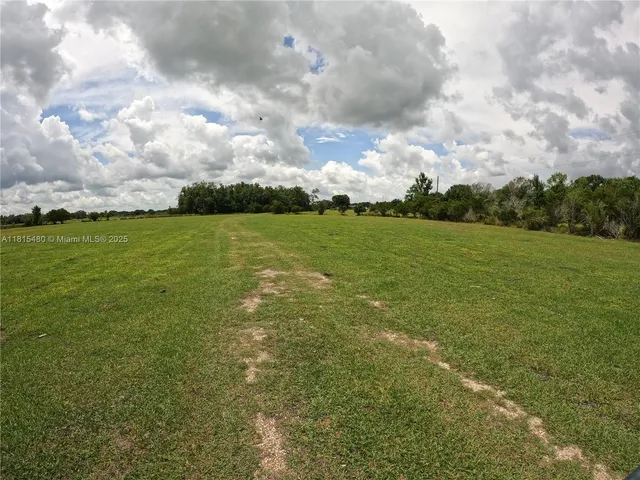 a view of a field with an ocean