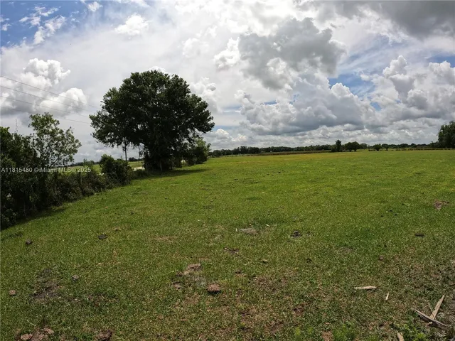 a view of a field with an ocean