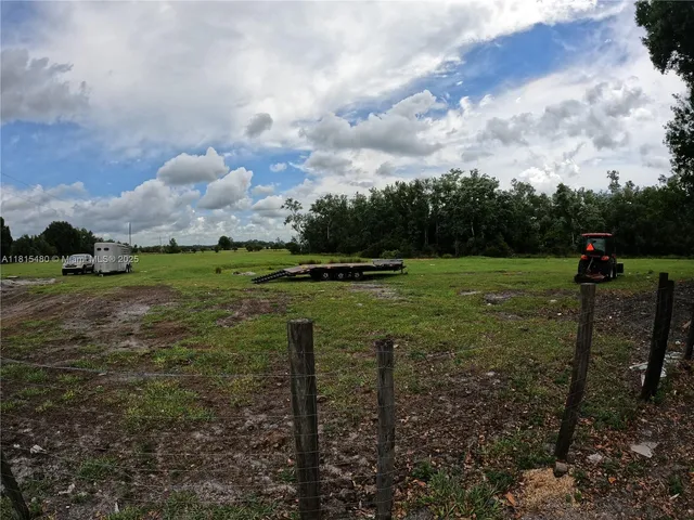 a view of yard with green space