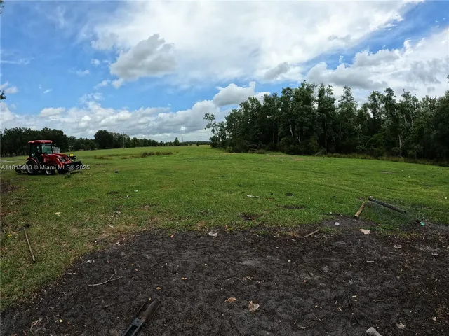 a view of a park with large trees