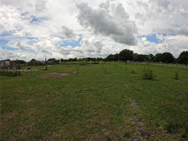 a view of a garden with statue