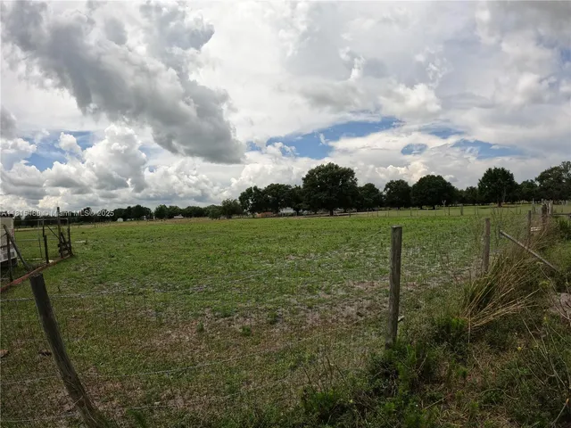 a view of a garden with a big yard