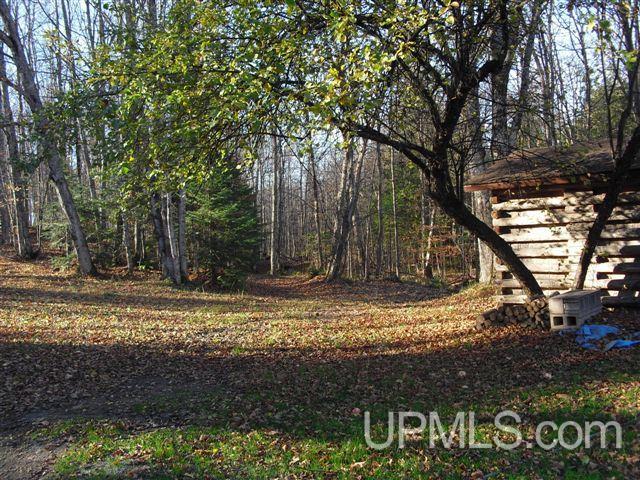 Tbd Country Lane Road Eben Junction, MI 49825 - Photo 20 of 21