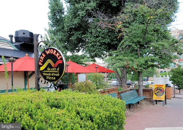 a view of outdoor space with garden and entertaining space