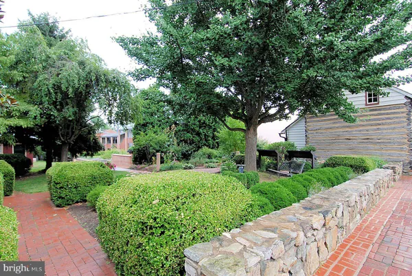 a view of backyard with potted plants and a large tree