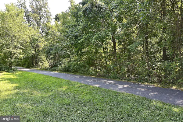a view of a yard with a trees
