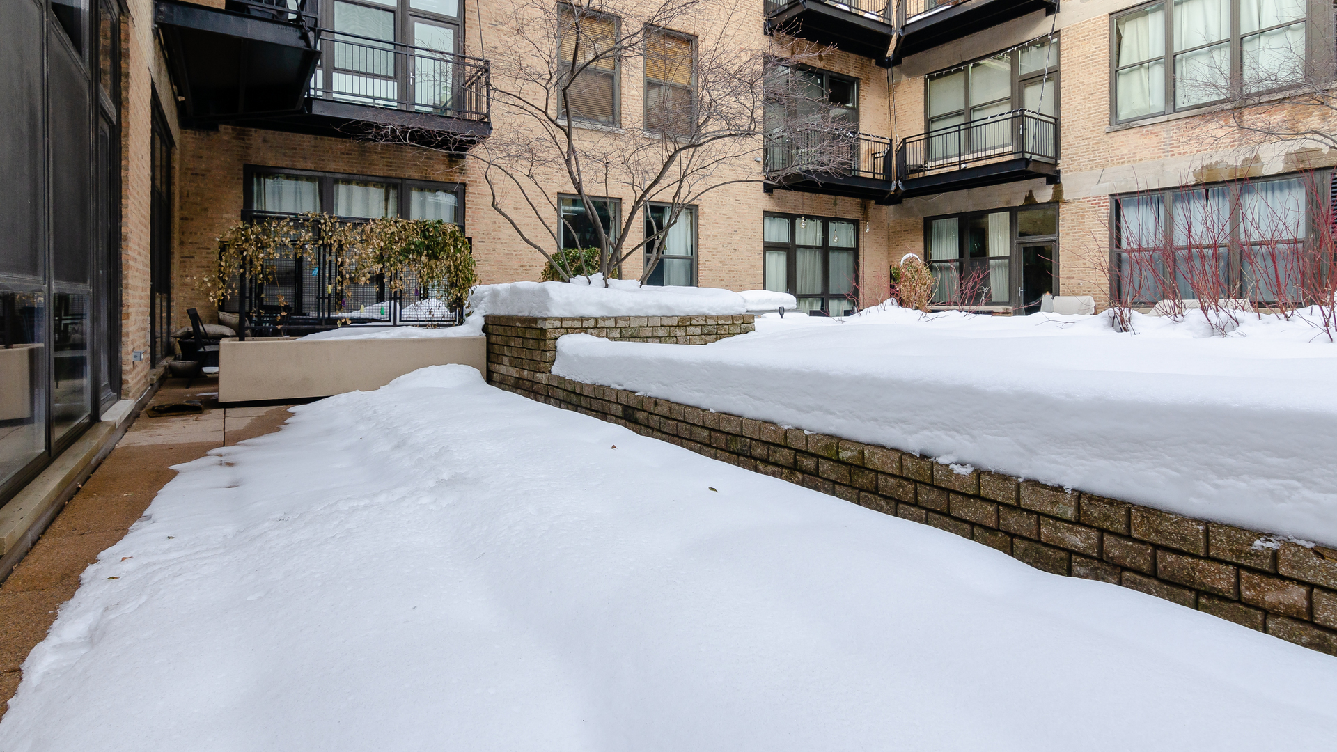 1040 West Adams Street, Unit 221 Chicago, IL 60607 - Photo 4 of 19
