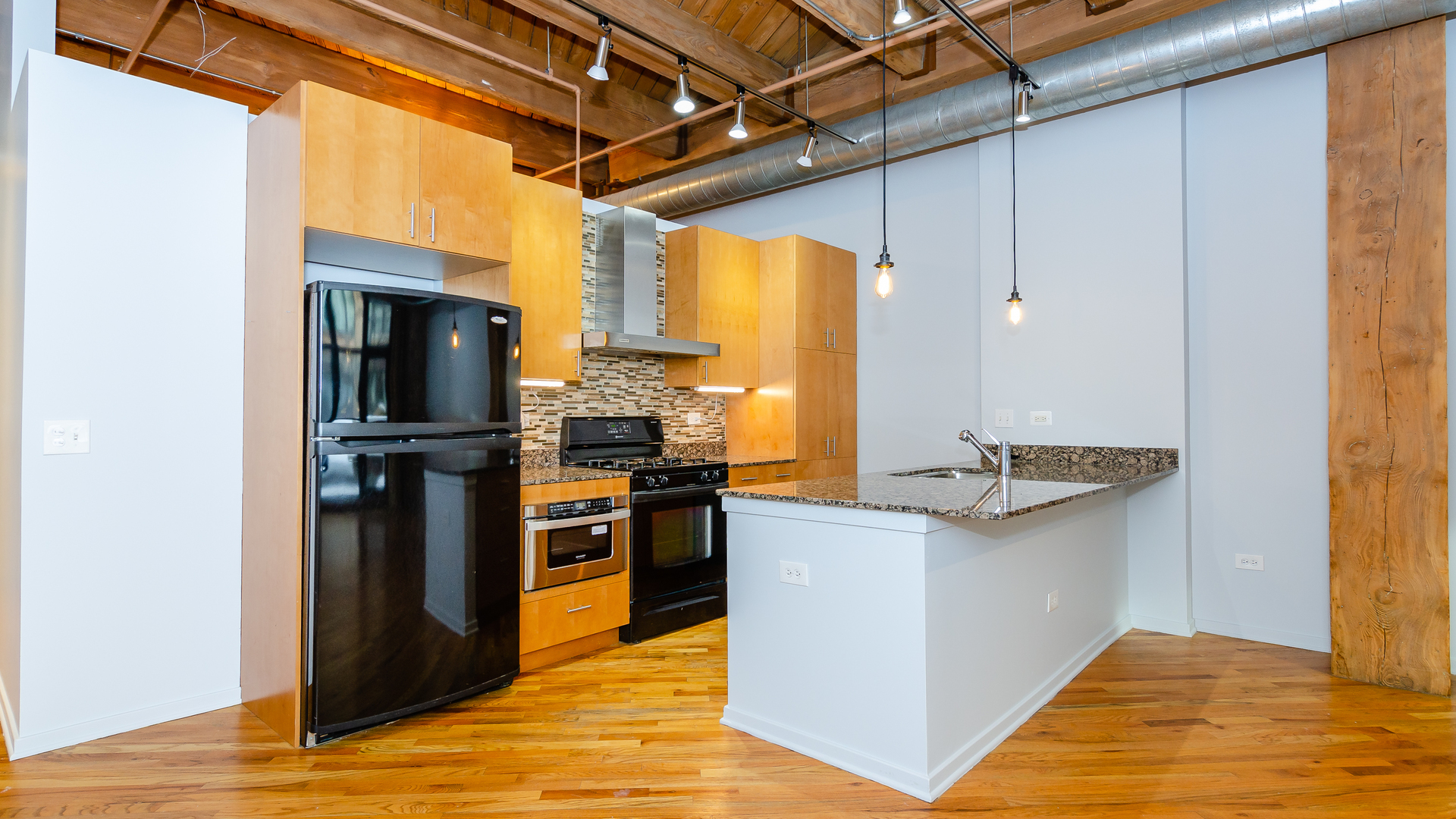 1040 West Adams Street, Unit 221 Chicago, IL 60607 - Photo 5 of 19